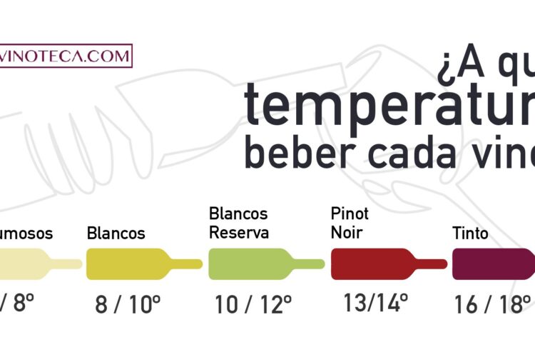 Regresa bordado Cartero Temperatura del vino tinto en vinoteca - Homarus